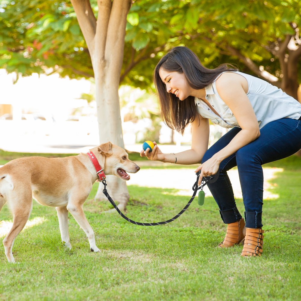 VEVOR Rope Dog Leash, 6ft Heavy Duty Dog Leash with Comfortable Padded Handle, Strong Nylon Thick Leash with Reflective Threads, Dog walking and Training Leash, for Medium Large Dogs (1/2 in, Black)