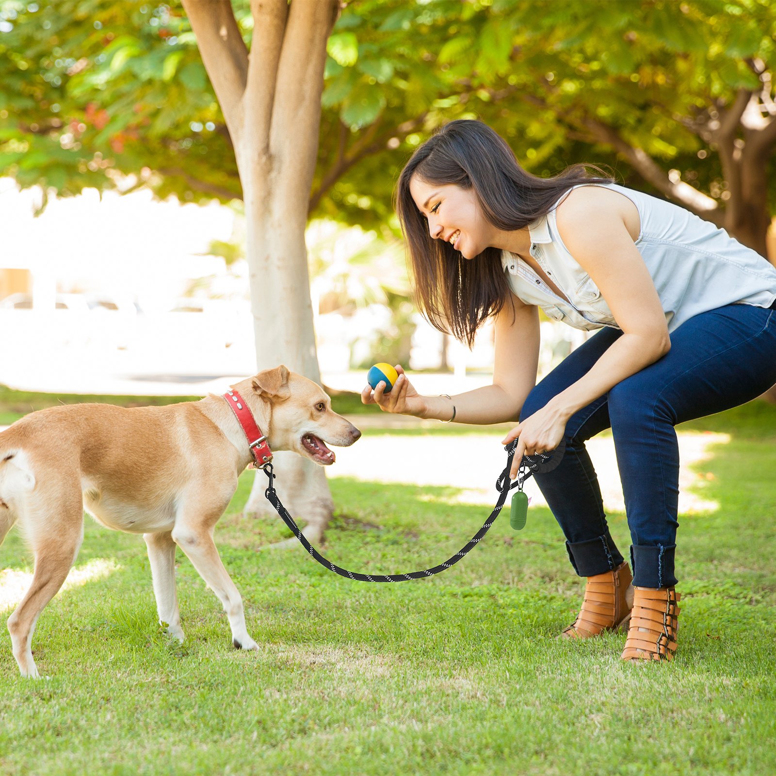 VEVOR Rope Dog Leash, 6ft Heavy Duty Dog Leash with Comfortable Padded Handle, Strong Nylon Thick Leash with Reflective Threads, Dog walking and Training Leash, for Medium Large Dogs (1/2 in, Black)