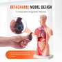VEVOR menneskekroppsmodell, 15 deler 11 tommer, anatomisk modell for menneskelig torso Anatomisk skjelettmodell med avtakbare organer, pedagogisk undervisningsverktøy for studenter Naturfag Læring Skole Utdanningsskjerm