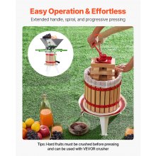 Fruit Wine Press Manual Press for Wine Making 3.2 Gal/12L Wood Basket