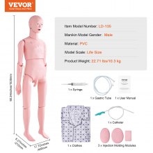 Maniquí de entrenamiento de enfermería VEVOR, maniquí humano de demostración de tamaño natural masculino para entrenamiento de enfermería, suministros de modelo de enseñanza de educación multifuncional, modelo de simulador de cuidado corporal de maniquí anatómico de PVC