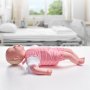 VEVOR Infant CPR Training Manikin, Heimlich Maneuver and Cardiopulmonary Resuscitation (CPR) Practice, Professional Infant Airway Obstruction Training Manikin, Baby Infarction Model for Education