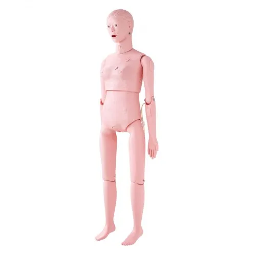 Nursing Training Manikin - Life Size Human Anatomical Model - View #7