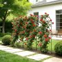 VEVOR Garden Trellis, 180 x 52.5 cm Rose Trellis, 2 Packs Garden Flower Rose Trellises with Powder-Coated Finish & Convenient Locking Design, Plant Support Trellises for Flowers, Vegetables, Roses