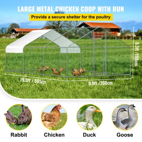 VEVOR Large Metal Chicken Coop, Walk-in Hen Run for Backyard with Waterproof Cover, Spire Outdoor Poultry Cage House for Farm Use, 19.3x9.8x6.5 ft Large Space for Chicken, Ducks, Rabbits, Dogs Habitat