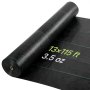 100 g/m²