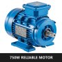 0.75kw 400v 1500 Rpm Premium Electric Motor 3phase Blue Ac B3 Advanced Tech