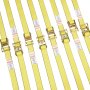 VEVOR Ratchet Tie Down Straps (8PK), 1995.8 kg Break Strength, E-Track Endless Ratchet with 8 Premium 0.05 m x 4.6 m Rachet Tie Downs Heavy Duty, for Moving Securing Cargo, Appliances, Lawn Equipment