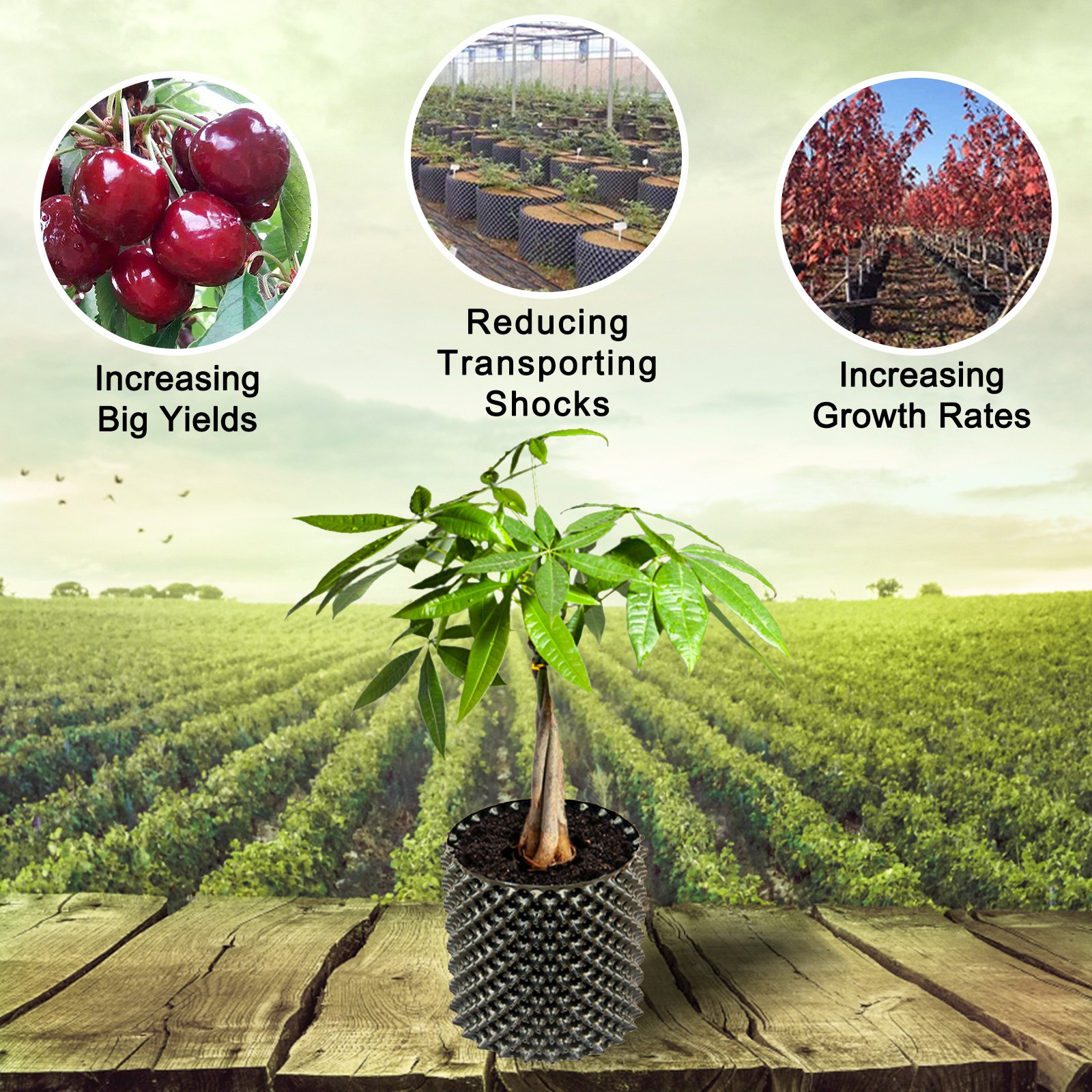 VEVOR Air Pruning Rocket Pot with Saucer 7.4Gal/28L 12PC Root Pruning Flower Pot