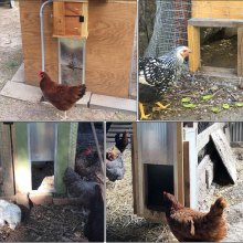 VEVOR Automatic Chicken Door Opener Kits with Light Sensor Induction 12.6x11.8" Automatic Duck Coop Door Opener with Infrared Sensor Duck Goose Door Opener to Avoid Chicken, Duck, Goose from Crushed