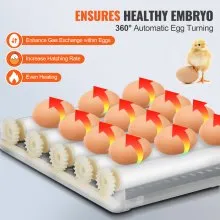 VEVOR Egg Incubator, Incubators for Hatching Eggs, Automatic Egg Turner with with Temperature and Humidity Control, 12 Eggs Poultry Hatcher with ABS Transparent Shell for Chicken, Duck, Quail