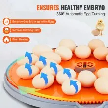 VEVOR Egg Incubator, Incubators for Hatching Eggs, Automatic Egg Turner with Temperature and Humidity Control, 24 Eggs Poultry Hatcher with ABS Transparent Shell for Chicken, Duck, Quail