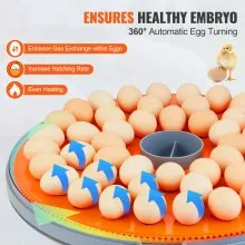 VEVOR 48 Egg Incubator, Incubators for Hatching Eggs, 360° Automatic Egg Turner with Temperature and Humidity Display, 48 Eggs Poultry Hatcher with ABS Transparent Shell for Chicken, Duck, Quail