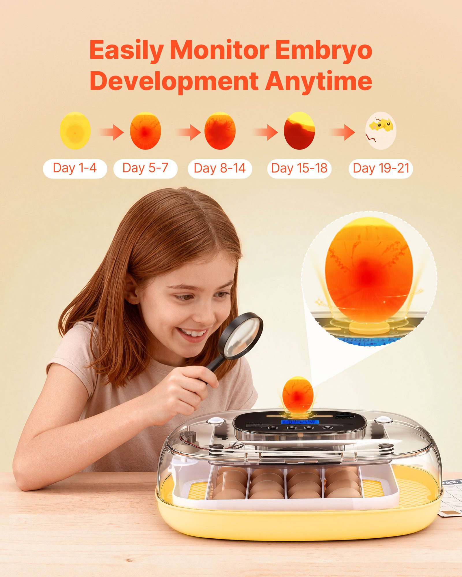 VEVOR 24 Egg Incubator, Automatic Egg Turner with LED Candler, Temperature & Humidity Control, 360° View Clear Window, Auto Water Refill, Poultry Eggs Incubators for Hatching Chicks Ducks Goose Quail