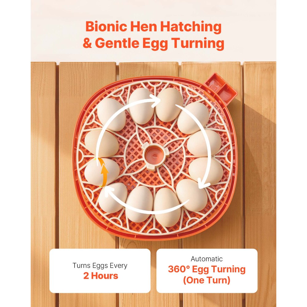 VEVOR 12 Egg Incubator, Automatic Egg Turner with LED Candler, Temperature & Humidity Control, 360° View Clear Window, Poultry Eggs Incubator for Home Farm, Hatching Chicks Ducks Goose Quail