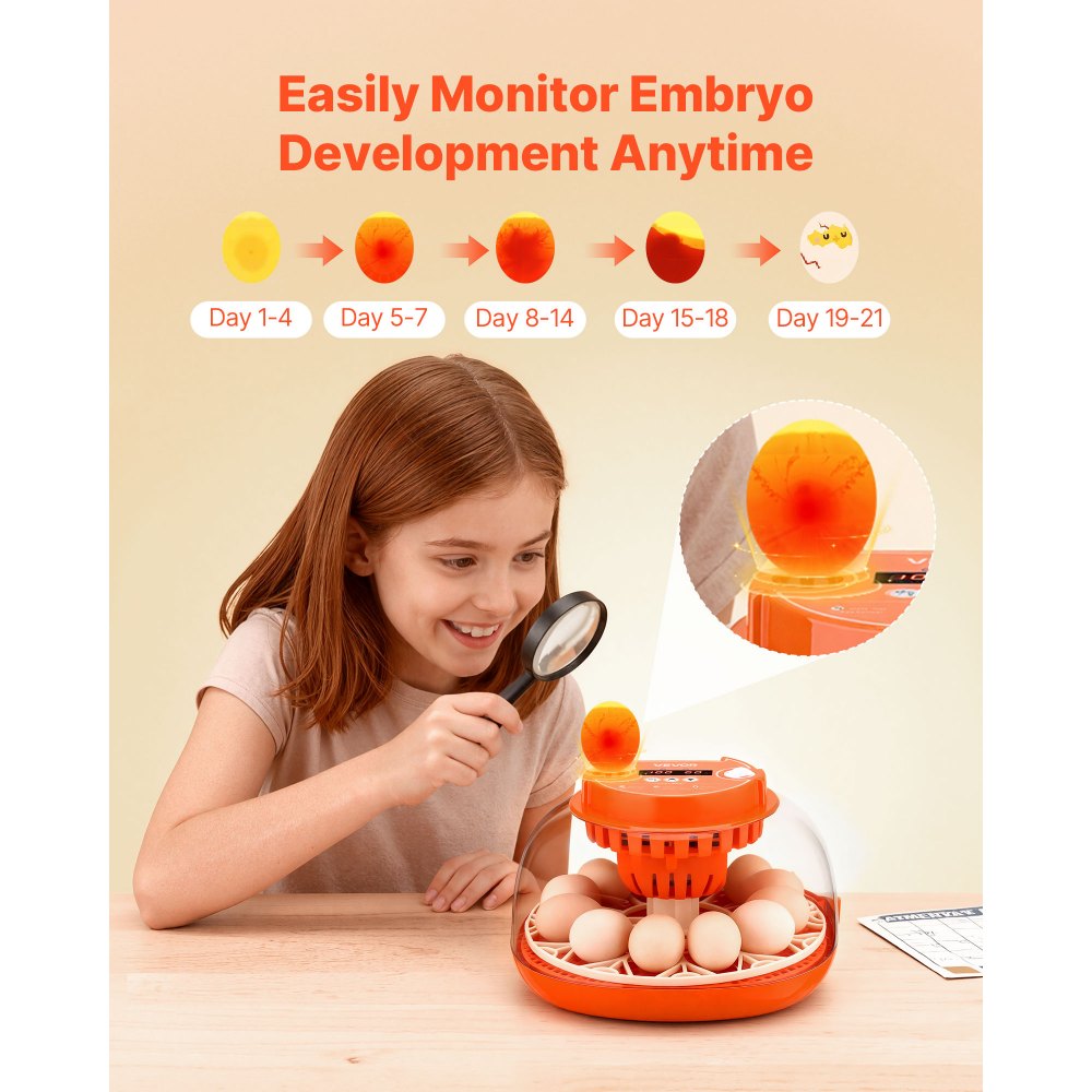 VEVOR 12 Egg Incubator, Automatic Egg Turner with LED Candler, Temperature & Humidity Control, 360° View Clear Window, Poultry Eggs Incubator for Home Farm, Hatching Chicks Ducks Goose Quail