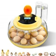 VEVOR 18 Egg Incubator, Automatic Egg Turner with LED Candler, Temperature & Humidity Control, 360° View Clear Window, Auto Water Refill, Poultry Eggs Incubators for Hatching Chicks Ducks Goose Quail