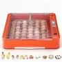 36 Eggs