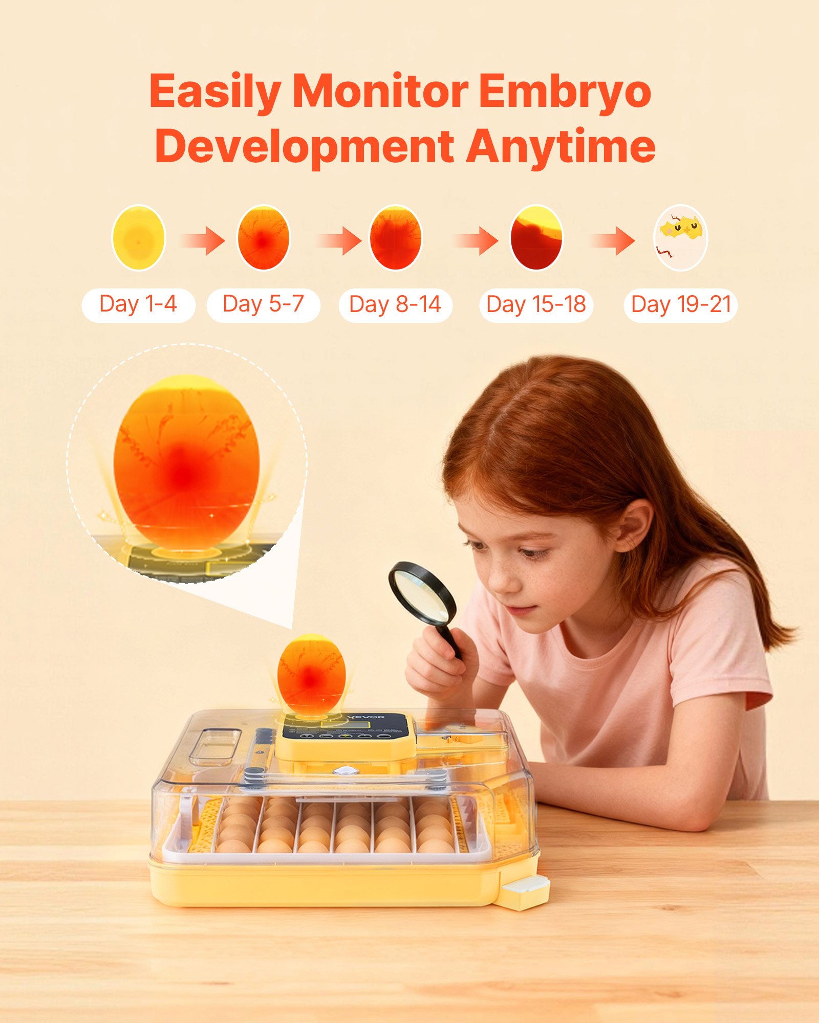 VEVOR 48 Egg Incubator, Automatic Egg Turner with LED Candler, Temperature Display & Auto Humidity Control, 360° View Clear Window, Poultry Eggs Incubator for Hatching Chicks Ducks Goose Quail