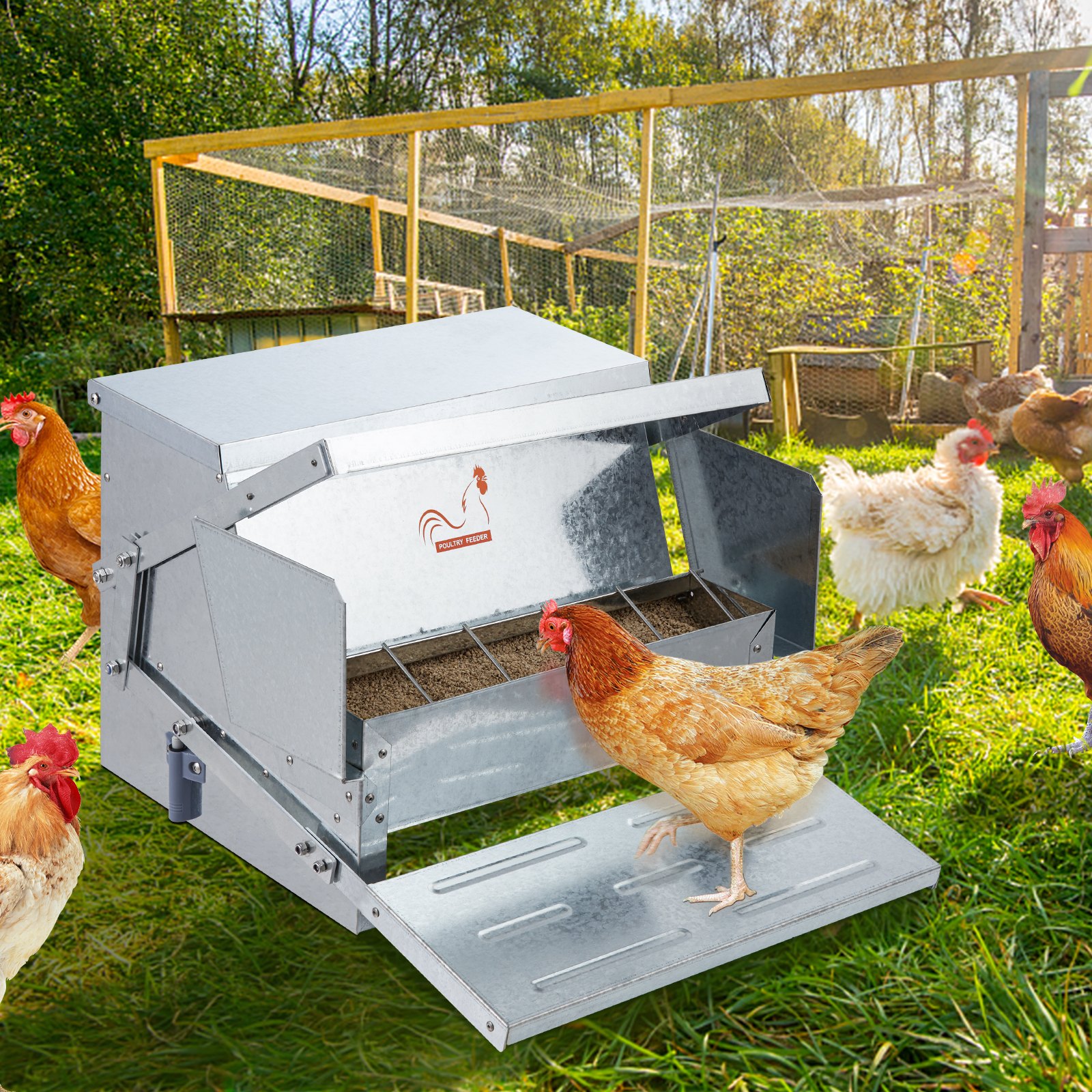 VEVOR automatic chicken feeder in a sunny chicken coop with hens eating.