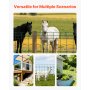 VEVOR Farm Fence, 39 x 787 in, 4 x 4 in Mesh 2.1mm Galvanized Steel Wire Fencing for Cattle, Hog & Sheep, Heavy Duty Vinyl Coated Livestock Fence for Animal Enclosures, Cage Wire, Garden Fences, Green