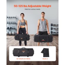 Workout Sandbag Heavy Duty Fitness Bag for CrossFit & Weight Training 50-125lbs