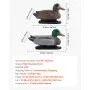 VEVOR Duck Decoys, Realistic Floating Duck Decoys, Weight Forward Swim, Plastic Duck Hunting Decoy Outdoor for Hunting, for Pool, Pond, and Lake, Garden Yard Decoration, Easy to Carry and Use, 6-Pack