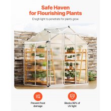 Polycarbonate Greenhouse 6 x 4 Ft Outdoor Walk-in Greenhouse for Garden