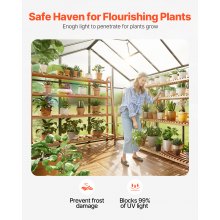 VEVOR Polycarbonate Greenhouse 8 x 12 Ft Outdoor Walk-in Greenhouse for Garden