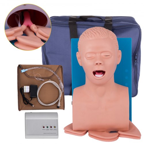 VEVOR PVC Adult Intubation Manikin Teaching Model, Airway Management Trainer Tracheal Intubation Training Simulator Model, Science Lab Education, 110V