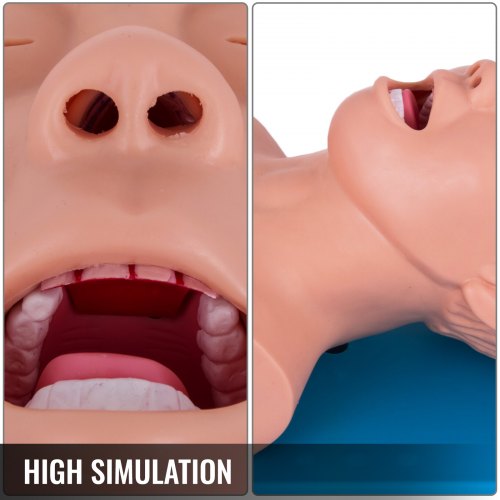 GEJLELDS Human Body Adult Intubation Manikin Teaching Model 110-220V Electronic Airway Management Trainer Tracheal Intubation Training Simulator Model For Science Lab Education