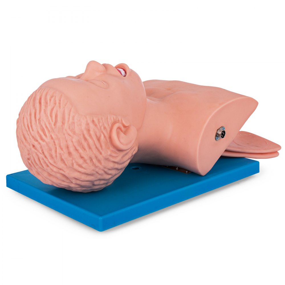 Adult Intubation Manikin Teaching Model Airway Management Trainer
