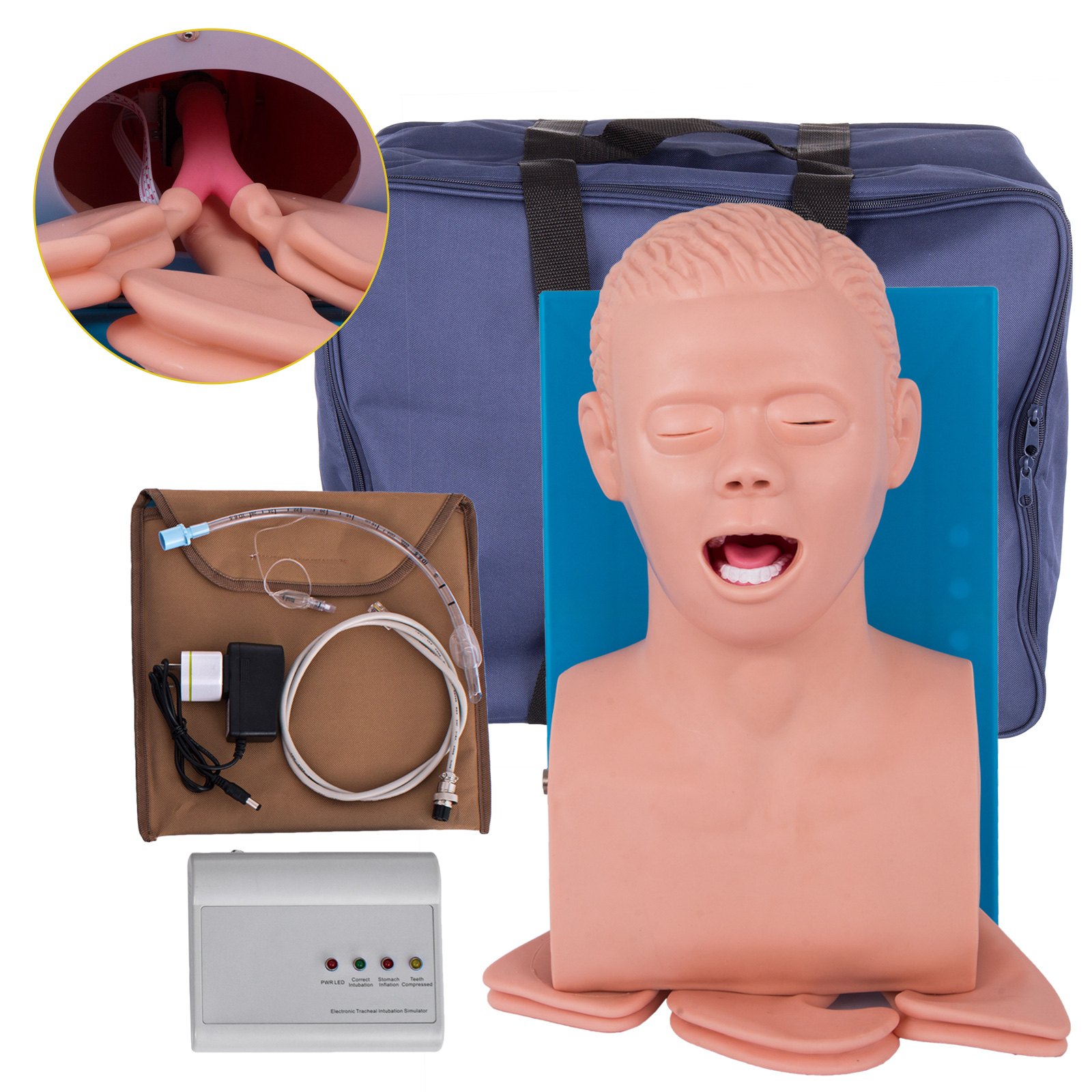 Adult Intubation Manikin Teaching Model Airway Management Trainer