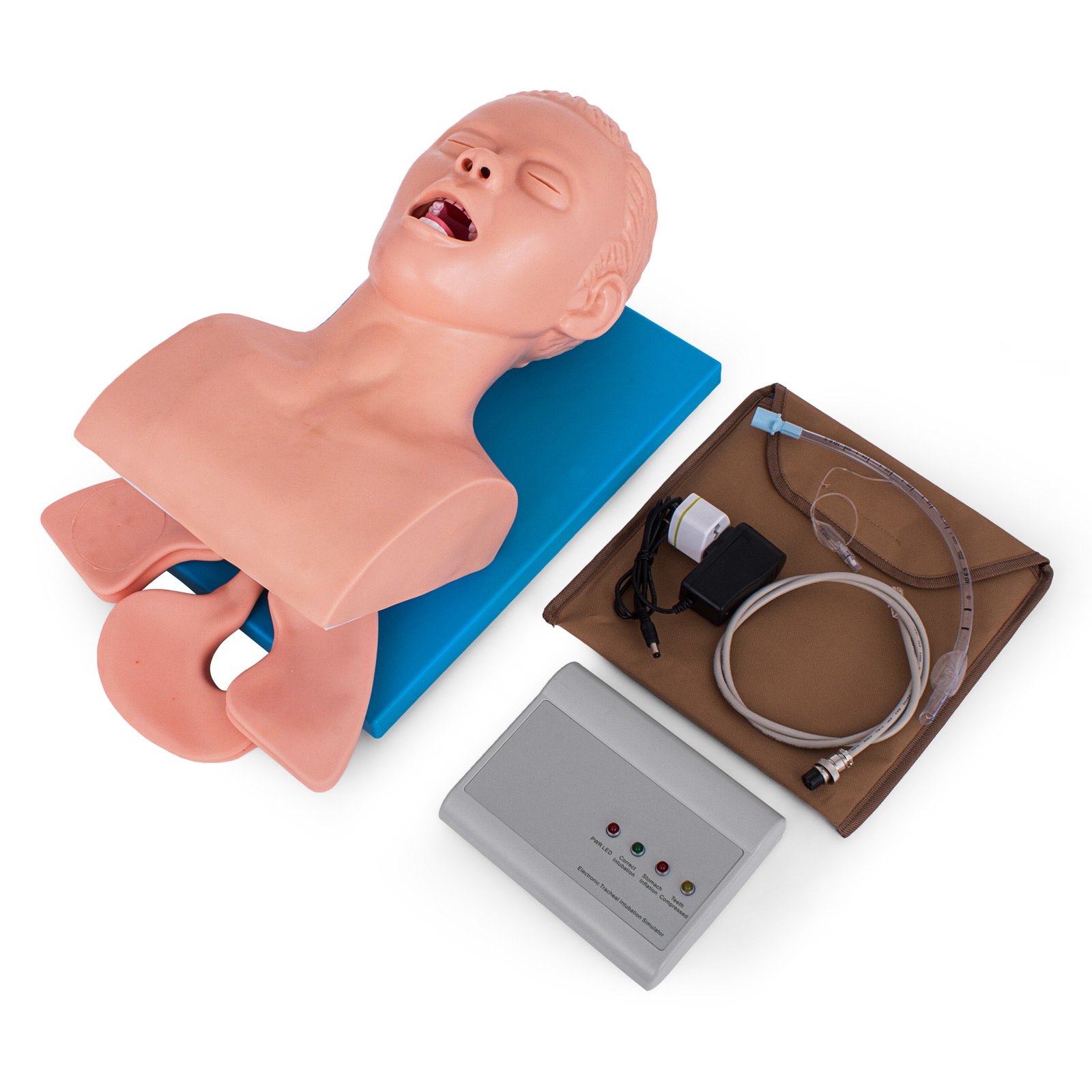 Adult Intubation Manikin Teaching Model Airway Management Trainer