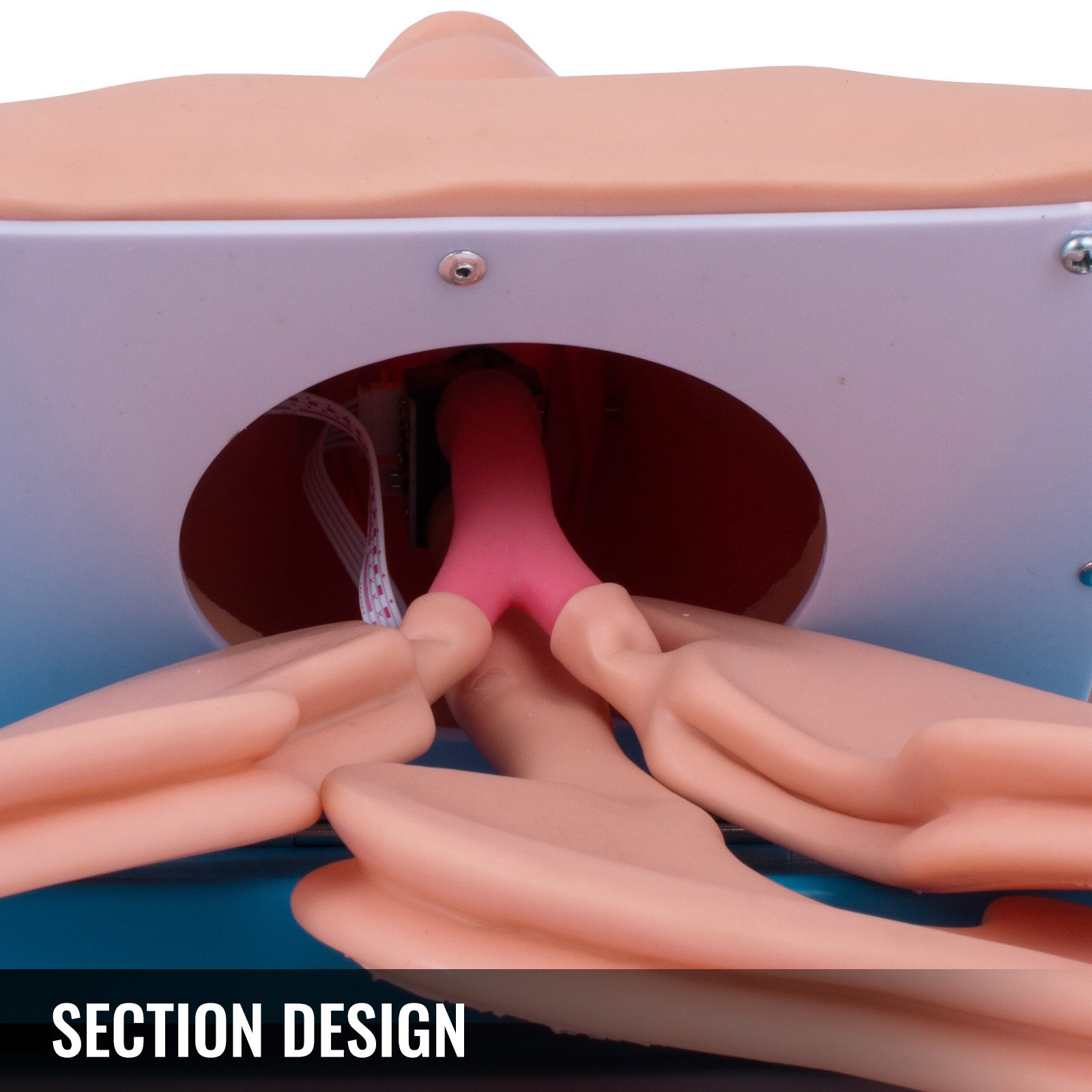 Adult Intubation Manikin Teaching Model Airway Management Trainer