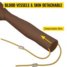 VEVOR Intravenøs øvelsesarmsett med mørk hud flebotomiarm laget av PVC-materiale øvelsesarm for flebotomi med høydejusterbart infusjonsstativ IV øvelsesarmsett for venepunkturpraksis