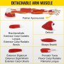 Vevor Arm Muscle Modelmuscular Arm Anatomy Model 7 Parts Medical Teaching Model