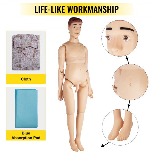 VEVOR Nursing Training Manikin, Demonstration Human Manikin for Nursing Training, Life Size Multifunctional Education Teaching Model, 170 cm Male PVC Anatomical Mannequin, Body Care Simulator Model