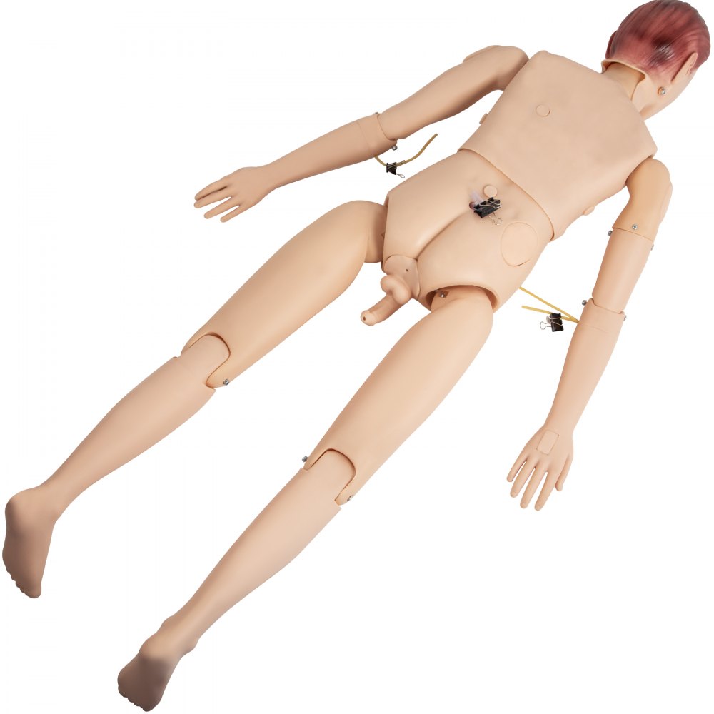 VEVOR Nursing Training Manikin, Demonstration Human Manikin for Nursing Training, Life Size Multifunctional Education Teaching Model, 170 cm Male PVC Anatomical Mannequin, Body Care Simulator Model