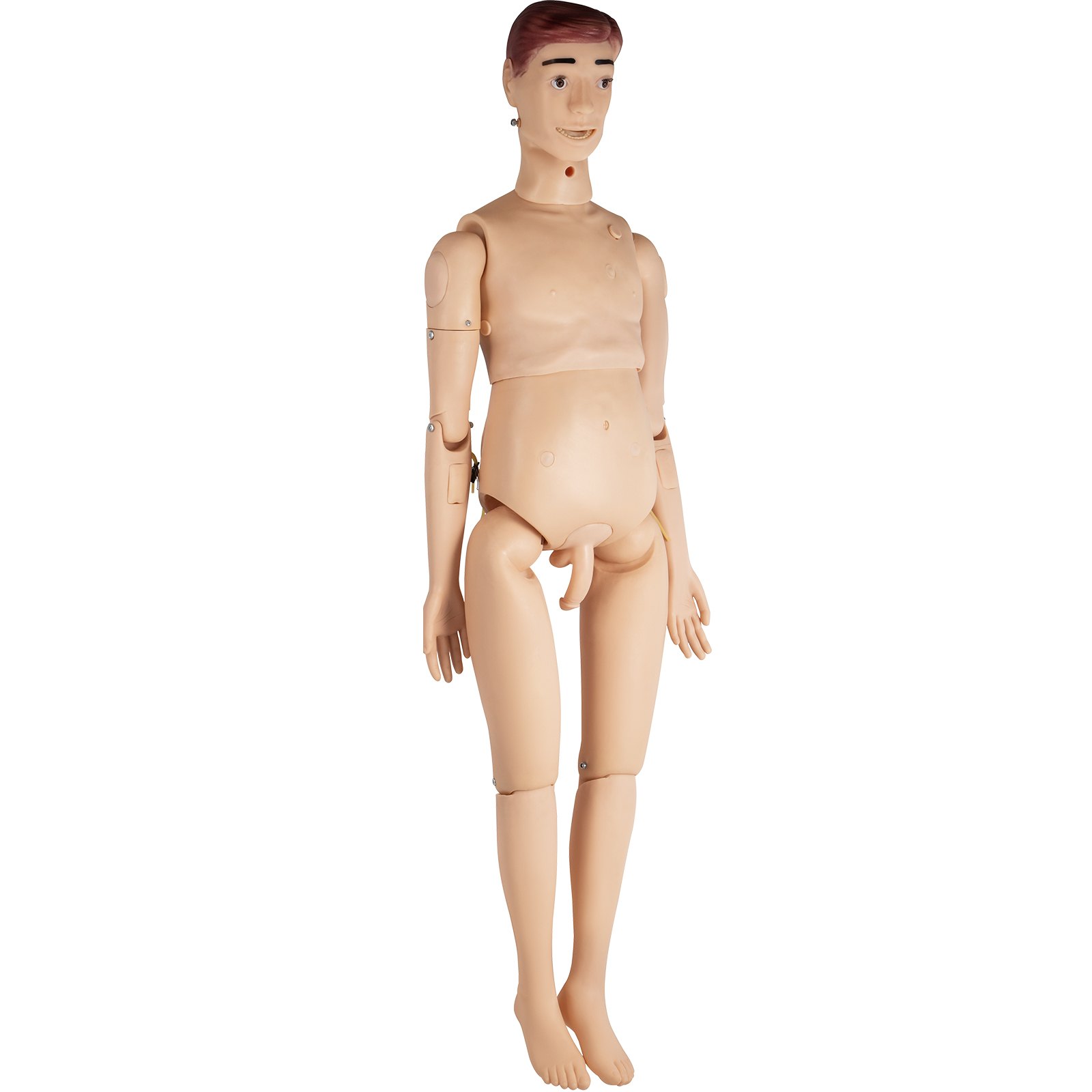 VEVOR Male Manikin Model 170x40x20 cm Nursing Training Mannequin Patient Care