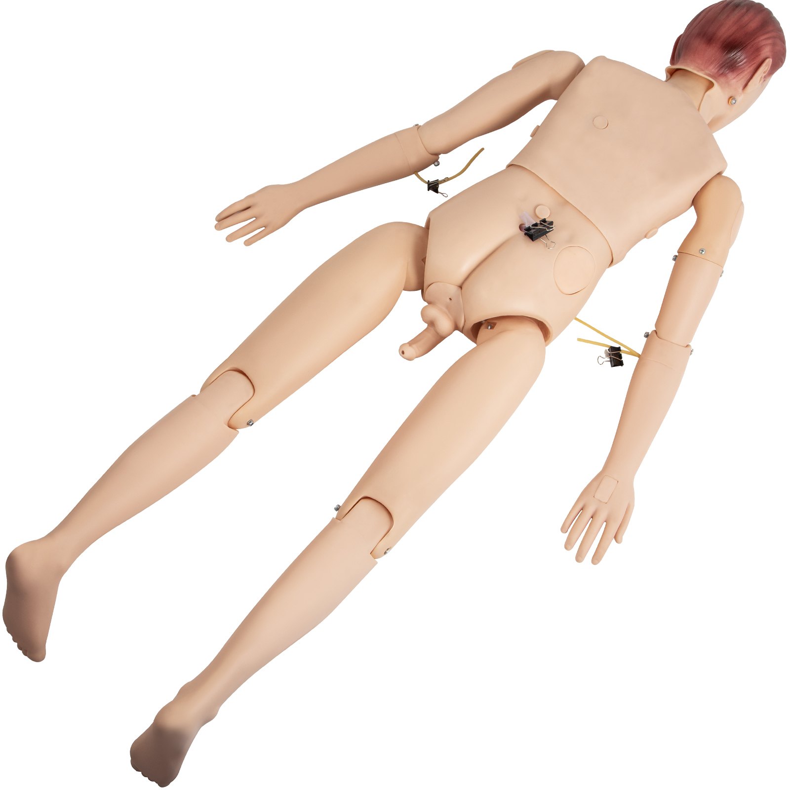 VEVOR Male Manikin Model 170x40x20 cm Nursing Training Mannequin Patient Care