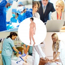 VEVOR Maniquí para la Curación del Paciente Material Didáctico en PVC Maniquí de Enseñanza de Formación Médica Modelo Mujer para la Docencia en la Facultad de Medicina de Enfermería
