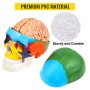 VEVOR human skull model with removable brain, multicolored sections, and pvc material.