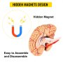 hidden magnets design in the VEVOR human skull model for easy assembly and disassembly.