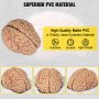 VEVOR human brain model made of high-quality matte pvc, showcasing durability and lightweight.