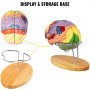VEVOR Human Brain Model Anatomy 4-Part Model of Brain w/ Labels & Display Base Color-Coded Life Size Human Brain Anatomical Model Brain Teaching Human Brain for Science Classroom Study Display Model