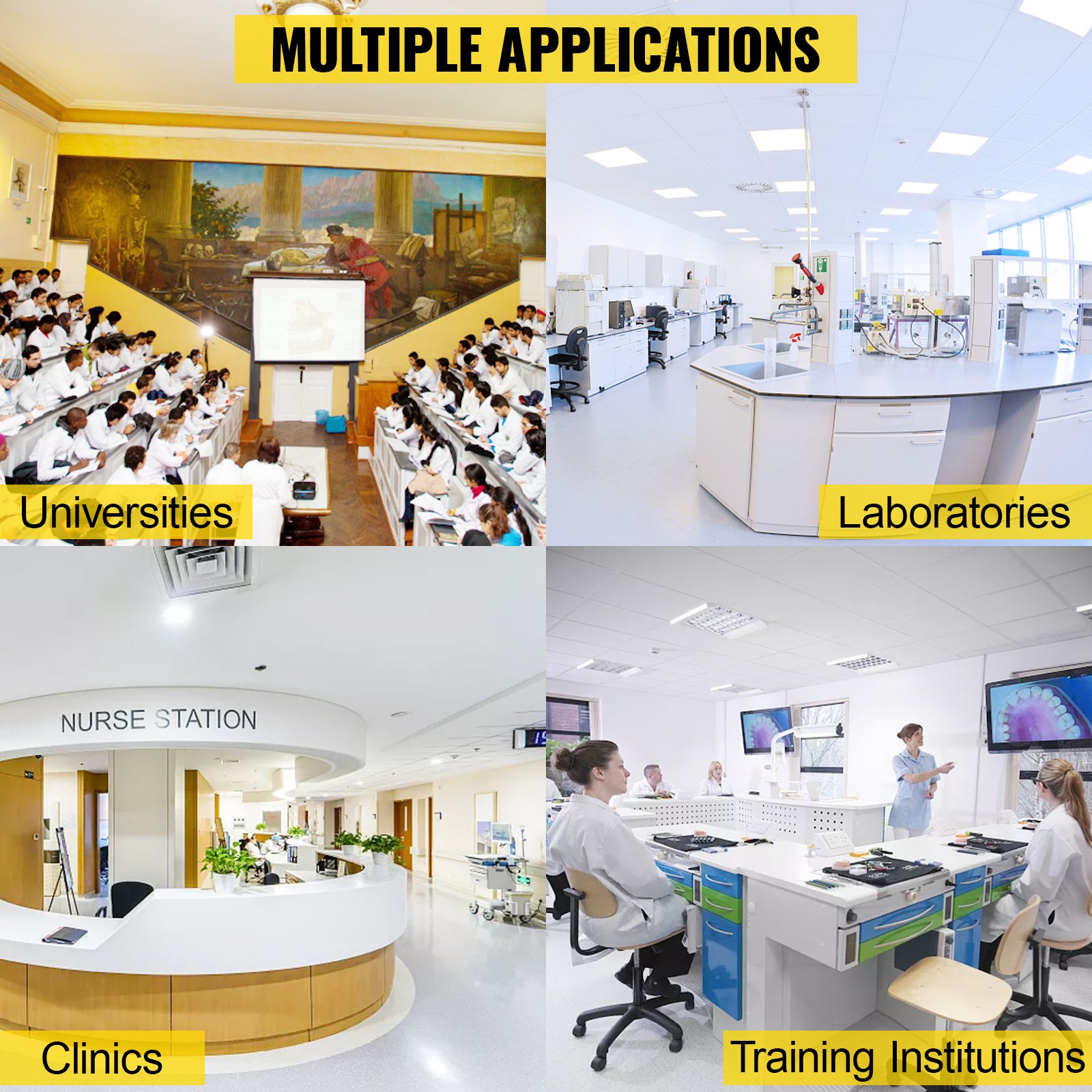 multiple applications of VEVOR human brain model in universities, laboratories, clinics, and training institutions.