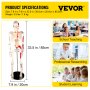 VEVOR Human Skeleton Anatomical Model 85cm Medical Anatomy with Muscle Points