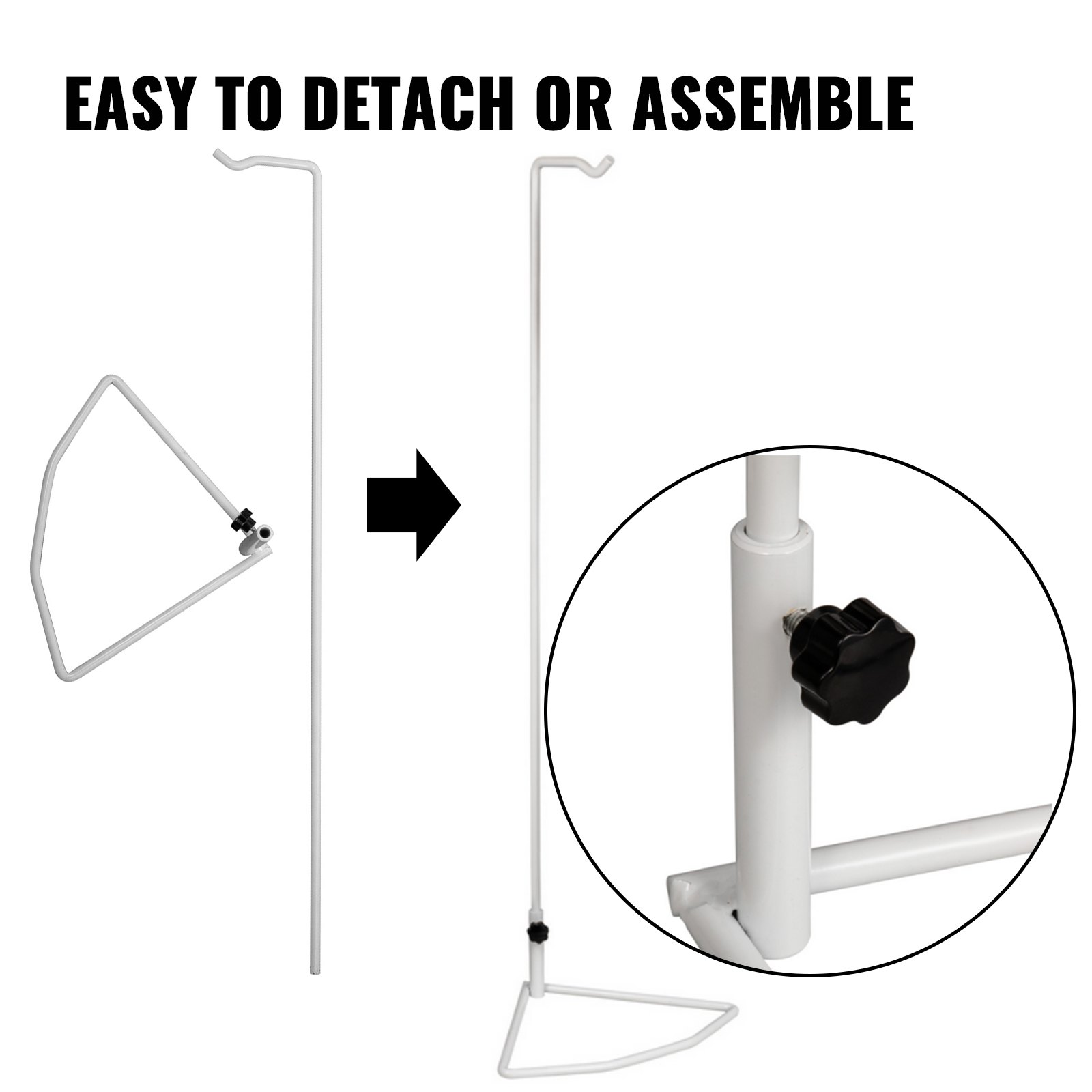 Didactic Vertebral Column Pelvis Model Medical Skeleton Anatomical Spine w/Stand