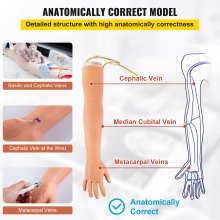 VEVOR Phlebotomy Practice Kit, IV Venipuncture Intravenous Training, High Simulation IV Practice Arm Kit with Carrying Bag, Practice and Perfect IV Skills, for Students Nurses and Professionals